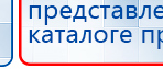 СКЭНАР-1-НТ (исполнение 02.1) Скэнар Про Плюс купить в Выксе, Аппараты Скэнар купить в Выксе, Дэнас официальный сайт denasolm.ru